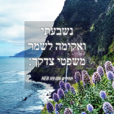 Picture 04 - תהלים 119:106 HEB - נשבעתי ואקימה לשמר משפטי - Bible Verse Picture