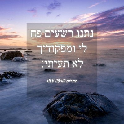 Picture 04 - תהלים 119:110 HEB - נתנו רשעים פח לי ומפקודיך - Bible Verse Picture