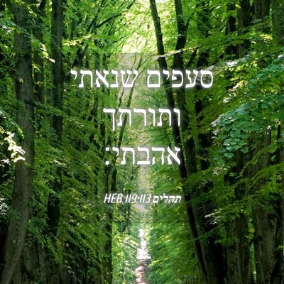 Picture 04 - תהלים 119:113 HEB - סעפים שנאתי ותורתך - Bible Verse Picture