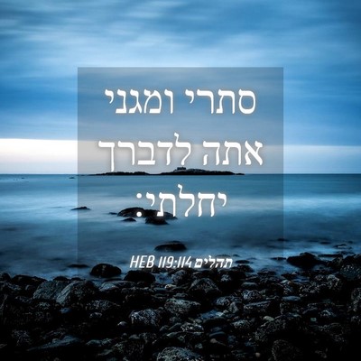 Picture 04 - תהלים 119:114 HEB - סתרי ומגני אתה לדברך - Bible Verse Picture