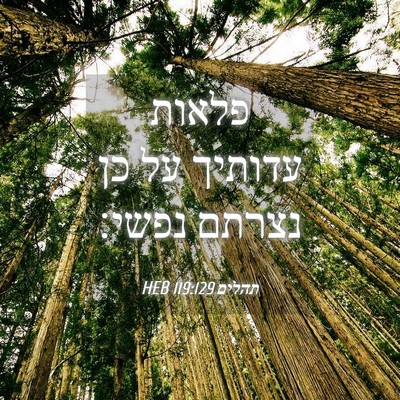 Picture 04 - תהלים 119:129 HEB - פלאות עדותיך על כן נצרתם - Bible Verse Picture