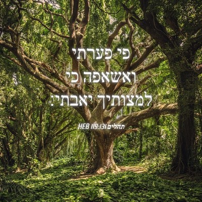Picture 04 - תהלים 119:131 HEB - פי פערתי ואשאפה כי למצותיך - Bible Verse Picture