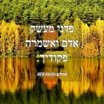 Picture 04 - תהלים 119:134 HEB - פדני מעשק אדם ואשמרה - Bible Verse Picture