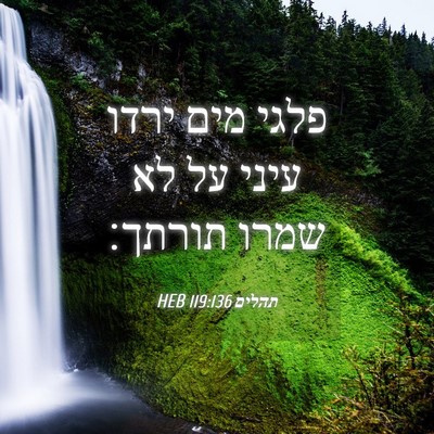 Picture 04 - תהלים 119:136 HEB - פלגי מים ירדו עיני על לא - Bible Verse Picture
