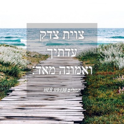 Picture 04 - תהלים 119:138 HEB - צוית צדק עדתיך ואמונה - Bible Verse Picture