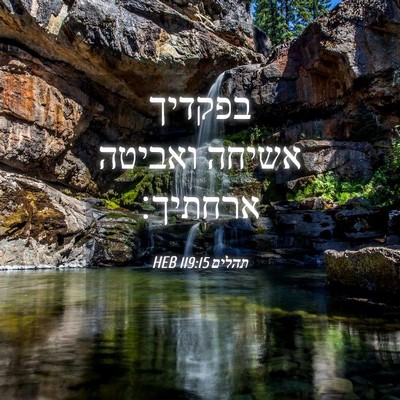 Picture 04 - תהלים 119:15 HEB - בפקדיך אשיחה ואביטה - Bible Verse Picture