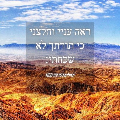 Picture 04 - תהלים 119:153 HEB - ראה עניי וחלצני כי תורתך לא - Bible Verse Picture