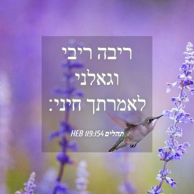 Picture 04 - תהלים 119:154 HEB - ריבה ריבי וגאלני לאמרתך - Bible Verse Picture