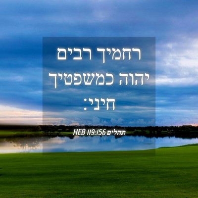 Picture 04 - תהלים 119:156 HEB - רחמיך רבים יהוה כמשפטיך - Bible Verse Picture
