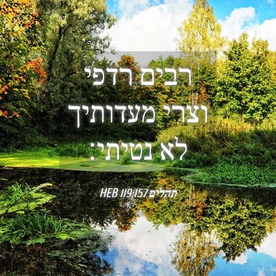 Picture 04 - תהלים 119:157 HEB - רבים רדפי וצרי מעדותיך לא - Bible Verse Picture