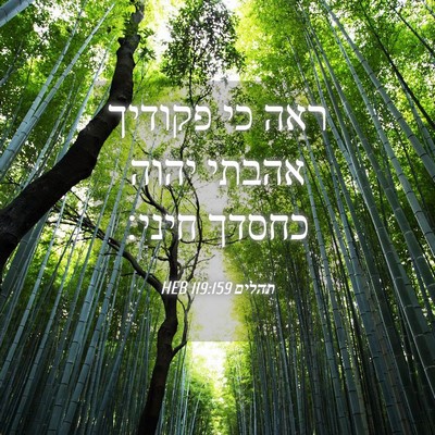 Picture 04 - תהלים 119:159 HEB - ראה כי פקודיך אהבתי יהוה - Bible Verse Picture