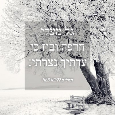 Picture 04 - תהלים 119:22 HEB - גל מעלי חרפה ובוז כי עדתיך - Bible Verse Picture