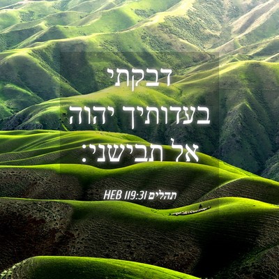 Picture 04 - תהלים 119:31 HEB - דבקתי בעדותיך יהוה אל - Bible Verse Picture
