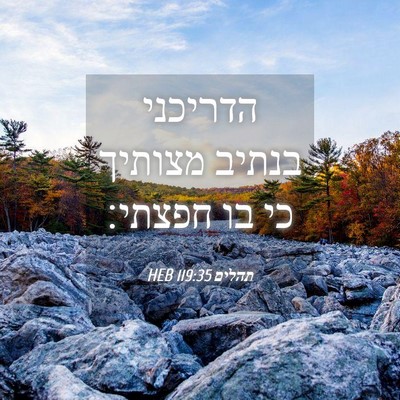 Picture 04 - תהלים 119:35 HEB - הדריכני בנתיב מצותיך כי בו - Bible Verse Picture