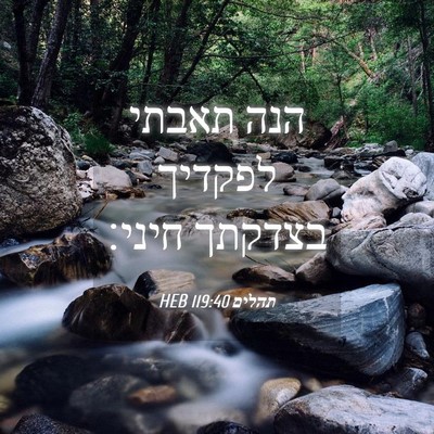 Picture 04 - תהלים 119:40 HEB - הנה תאבתי לפקדיך בצדקתך - Bible Verse Picture
