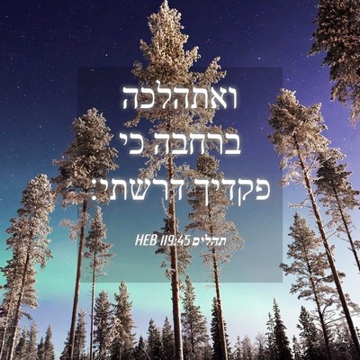Picture 04 - תהלים 119:45 HEB - ואתהלכה ברחבה כי פקדיך - Bible Verse Picture