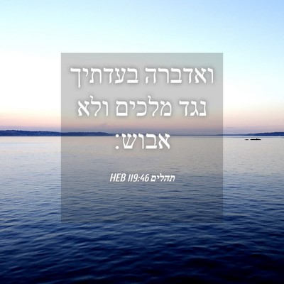 Picture 04 - תהלים 119:46 HEB - ואדברה בעדתיך נגד מלכים - Bible Verse Picture