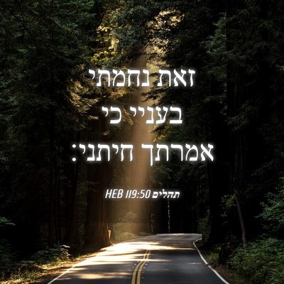 Picture 04 - תהלים 119:50 HEB - זאת נחמתי בעניי כי אמרתך - Bible Verse Picture