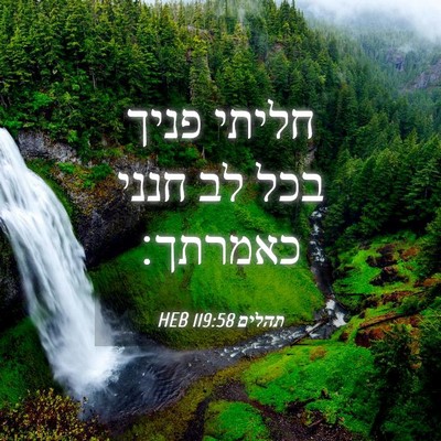 Picture 04 - תהלים 119:58 HEB - חליתי פניך בכל לב חנני - Bible Verse Picture