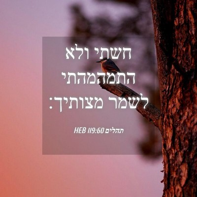 Picture 04 - תהלים 119:60 HEB - חשתי ולא התמהמהתי לשמר - Bible Verse Picture