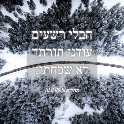 Picture 04 - תהלים 119:61 HEB - חבלי רשעים עודני תורתך לא - Bible Verse Picture
