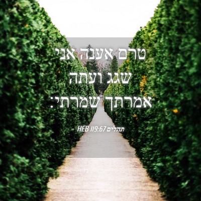 Picture 04 - תהלים 119:67 HEB - טרם אענה אני שגג ועתה אמרתך - Bible Verse Picture