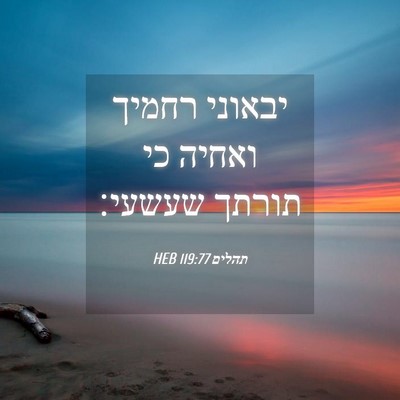 Picture 04 - תהלים 119:77 HEB - יבאוני רחמיך ואחיה כי - Bible Verse Picture