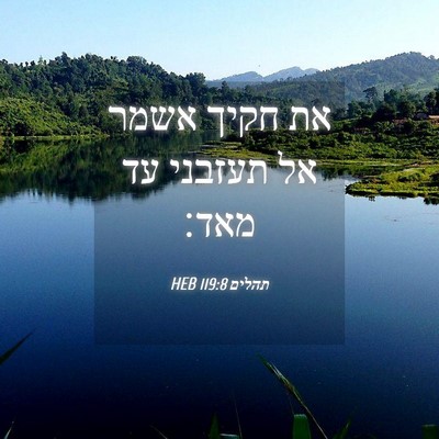 Picture 04 - תהלים 119:8 HEB - את חקיך אשמר אל תעזבני עד - Bible Verse Picture