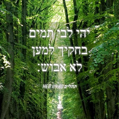 Picture 04 - תהלים 119:80 HEB - יהי לבי תמים בחקיך למען לא - Bible Verse Picture