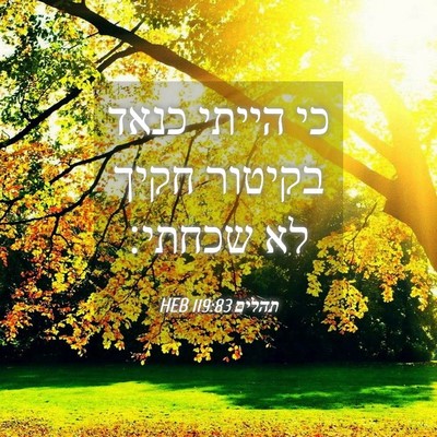 Picture 04 - תהלים 119:83 HEB - כי הייתי כנאד בקיטור חקיך - Bible Verse Picture