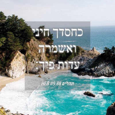 Picture 04 - תהלים 119:88 HEB - כחסדך חיני ואשמרה עדות - Bible Verse Picture