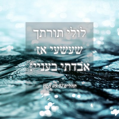 Picture 04 - תהלים 119:92 HEB - לולי תורתך שעשעי אז אבדתי - Bible Verse Picture