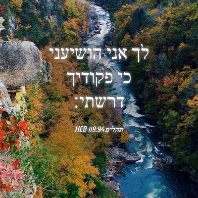 Picture 04 - תהלים 119:94 HEB - לך אני הושיעני כי פקודיך - Bible Verse Picture
