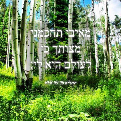 Picture 04 - תהלים 119:98 HEB - מאיבי תחכמני מצותך כי - Bible Verse Picture