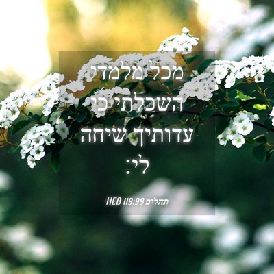 Picture 04 - תהלים 119:99 HEB - מכל מלמדי השכלתי כי עדותיך - Bible Verse Picture