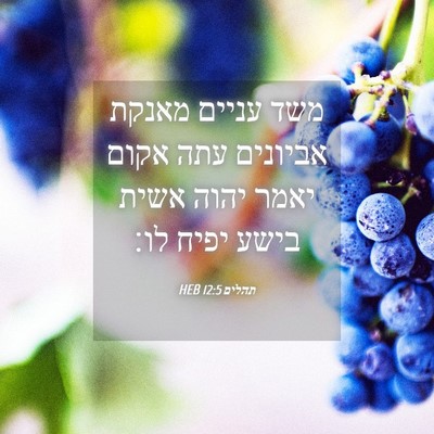 Picture 04 - תהלים 12:5 HEB - משד עניים מאנקת אביונים - Bible Verse Picture