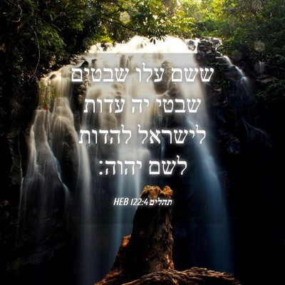 Picture 04 - תהלים 122:4 HEB - ששם עלו שבטים שבטי יה עדות - Bible Verse Picture