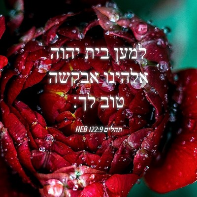 Picture 04 - תהלים 122:9 HEB - למען בית יהוה אלהינו אבקשה - Bible Verse Picture