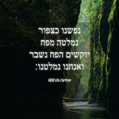Picture 04 - תהלים 124:7 HEB - נפשנו כצפור נמלטה מפח - Bible Verse Picture