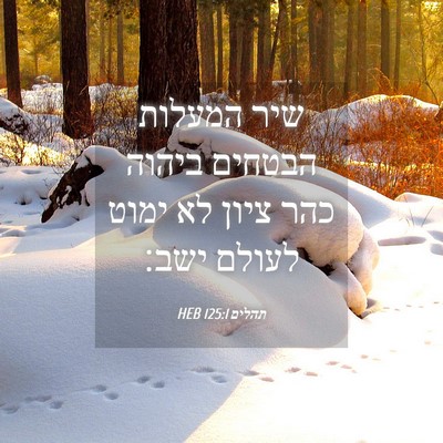 Picture 04 - תהלים 125:1 HEB - שיר המעלות הבטחים ביהוה - Bible Verse Picture
