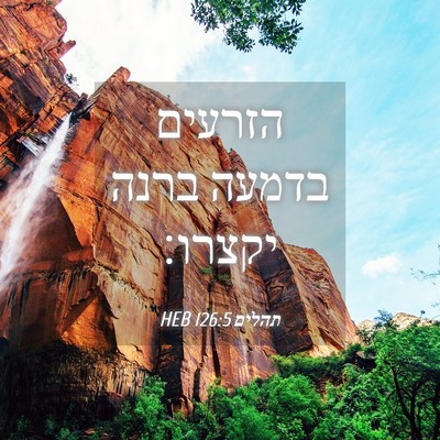 Picture 04 - תהלים 126:5 HEB - הזרעים בדמעה ברנה - Bible Verse Picture