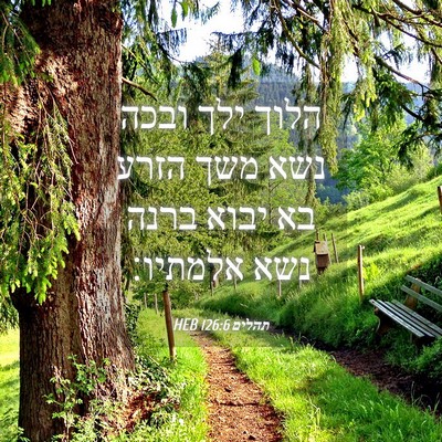 Picture 04 - תהלים 126:6 HEB - הלוך ילך ובכה נשא משך הזרע - Bible Verse Picture