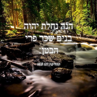 Picture 04 - תהלים 127:3 HEB - הנה נחלת יהוה בנים שכר פרי - Bible Verse Picture