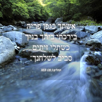 Picture 04 - תהלים 128:3 HEB - אשתך כגפן פריה בירכתי ביתך - Bible Verse Picture