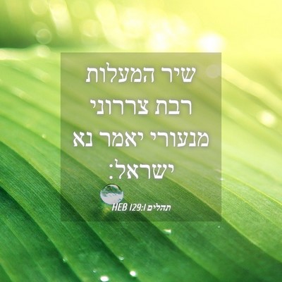 Picture 04 - תהלים 129:1 HEB - שיר המעלות רבת צררוני - Bible Verse Picture