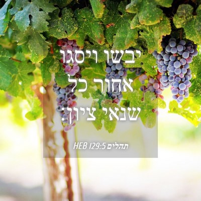 Picture 04 - תהלים 129:5 HEB - יבשו ויסגו אחור כל שנאי - Bible Verse Picture