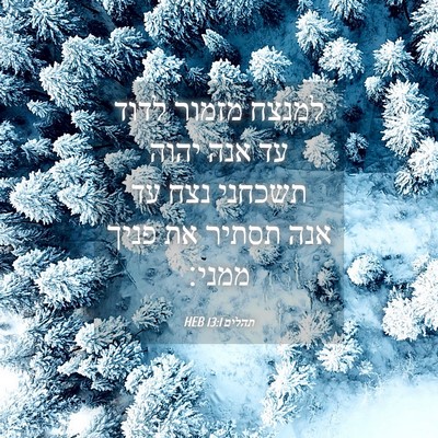 Picture 04 - תהלים 13:1 HEB - למנצח מזמור לדוד עד אנה - Bible Verse Picture