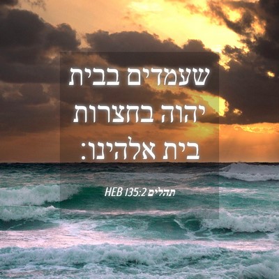 Picture 04 - תהלים 135:2 HEB - שעמדים בבית יהוה בחצרות - Bible Verse Picture