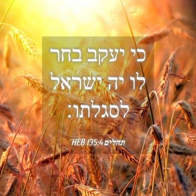 Picture 04 - תהלים 135:4 HEB - כי יעקב בחר לו יה ישראל - Bible Verse Picture