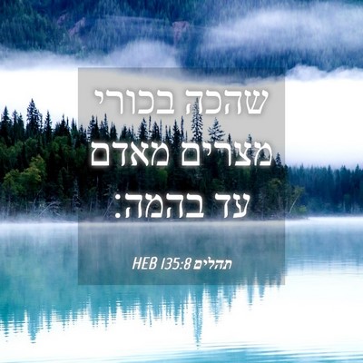 Picture 04 - תהלים 135:8 HEB - שהכה בכורי מצרים מאדם עד - Bible Verse Picture
